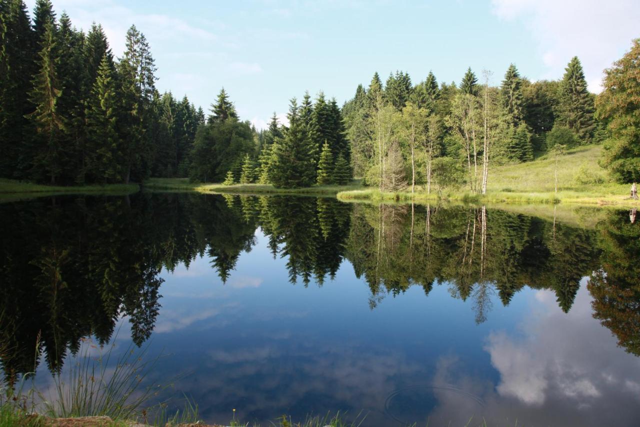 Chalet Des Rochires Жерарме Экстерьер фото